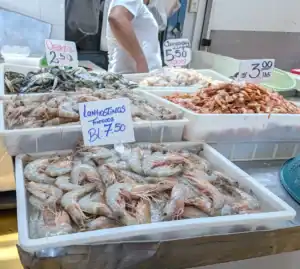 The fish market. Mercado de Mariscos