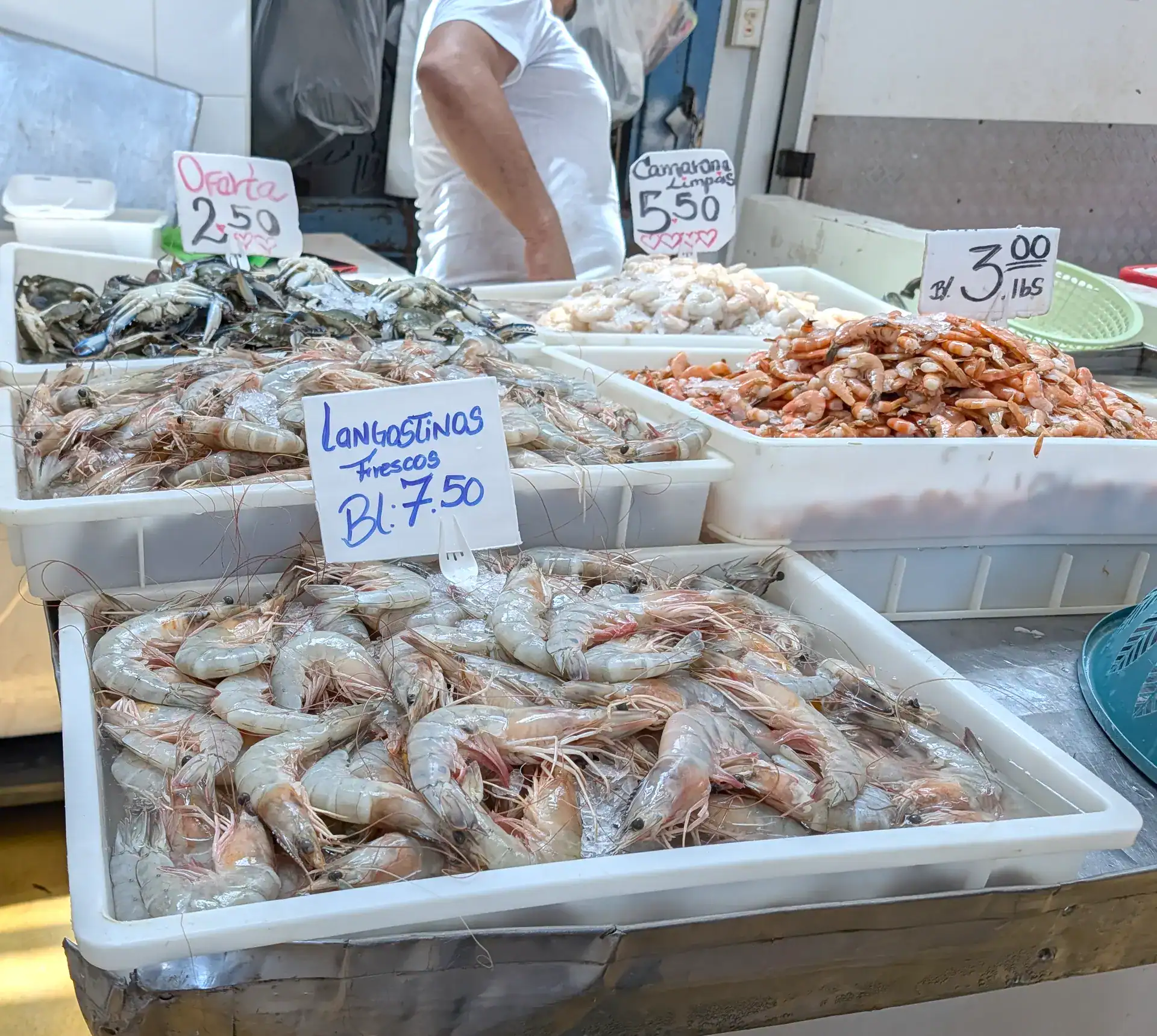 Day Five in Panama – the fish market, the fancy mall, and a happy hour at Maluka – Part 5